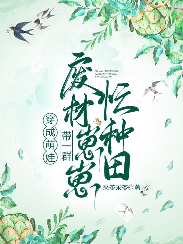 家多开几个马甲怎么了txt