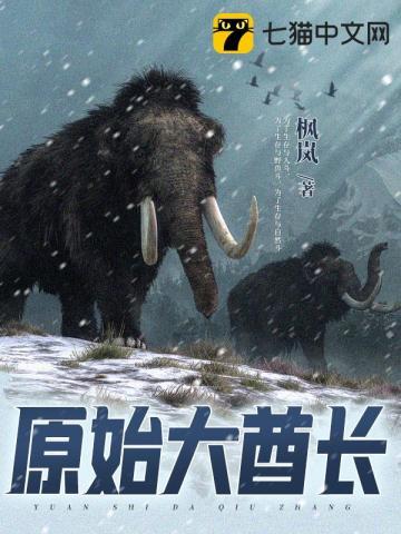 夫人的马甲遍布全球 作者兀予