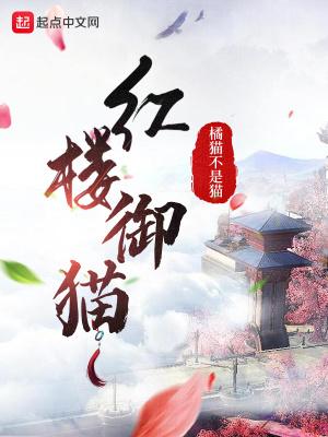 我的人鱼my merman