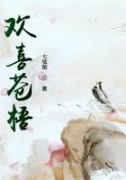 盗墓从老九门开始抽