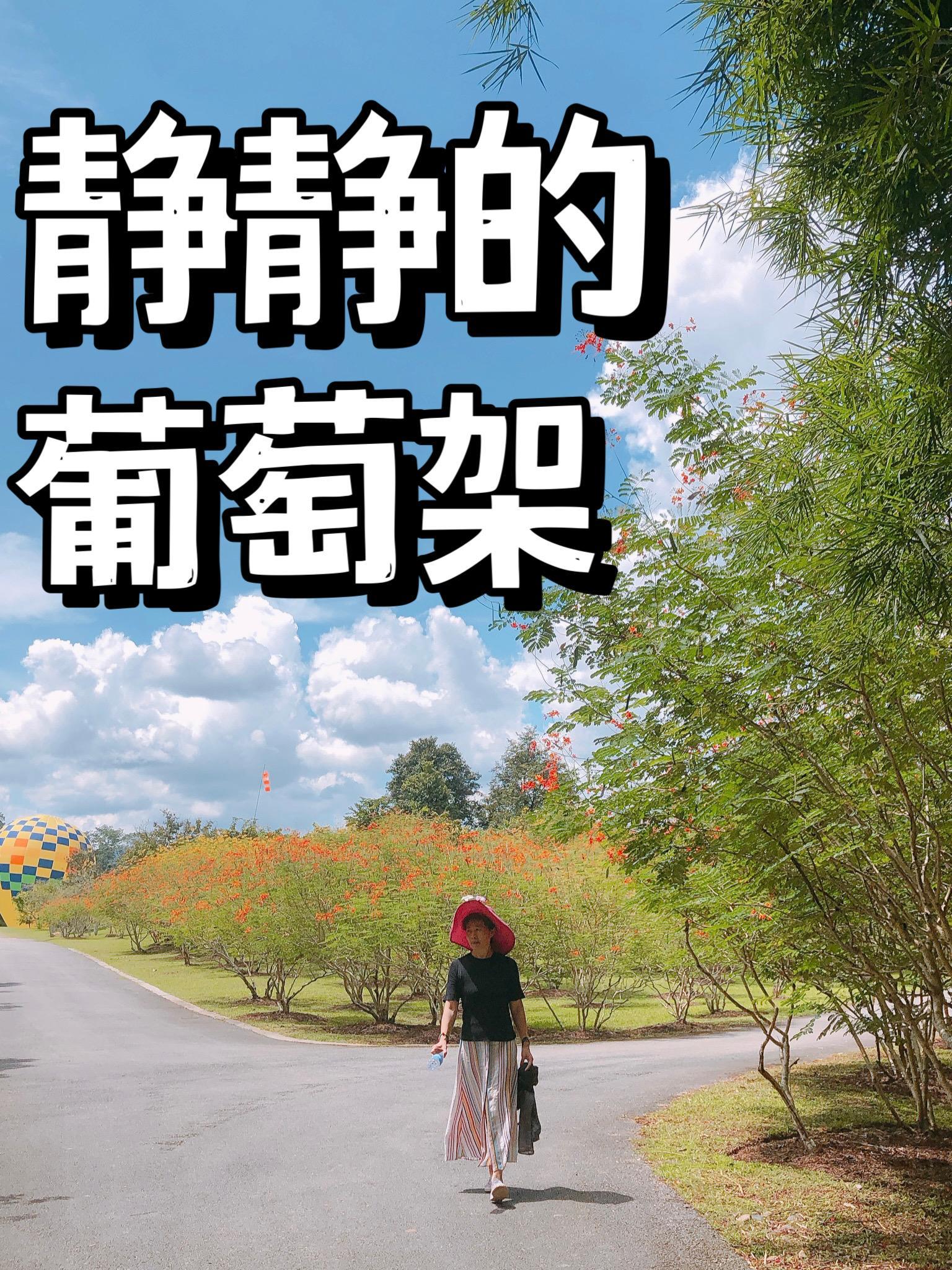 重生1991余年戴佳