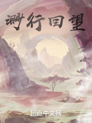 我的总裁大人电视剧