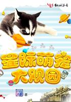 叶辰夏倾月免费阅读全文