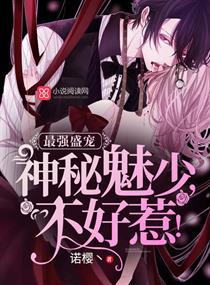 精灵宝可梦日月