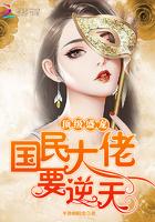 贵妃娘娘宠冠后宫讲什么