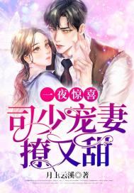 全职高手之一一风荷举