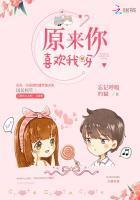 光影交错的时空论坛