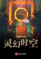 大明话事人无防盗