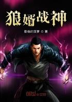 亮剑真不是老李干的