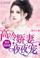 我可能是一只假的奥特曼笔趣阁