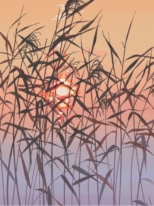 家族修仙类完本