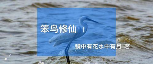 快穿之女配又飒又美