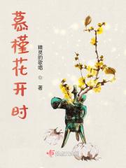 星际指挥官汉化版