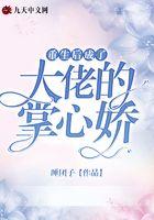 明月别枝惊鹊清风半夜鸣蝉表达了什么