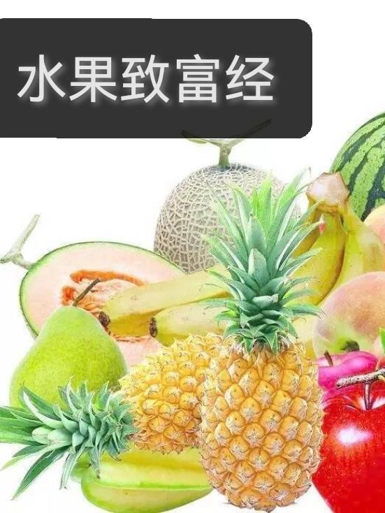 重生农家子逃荒