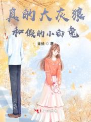 禁区之狐胡莱属性